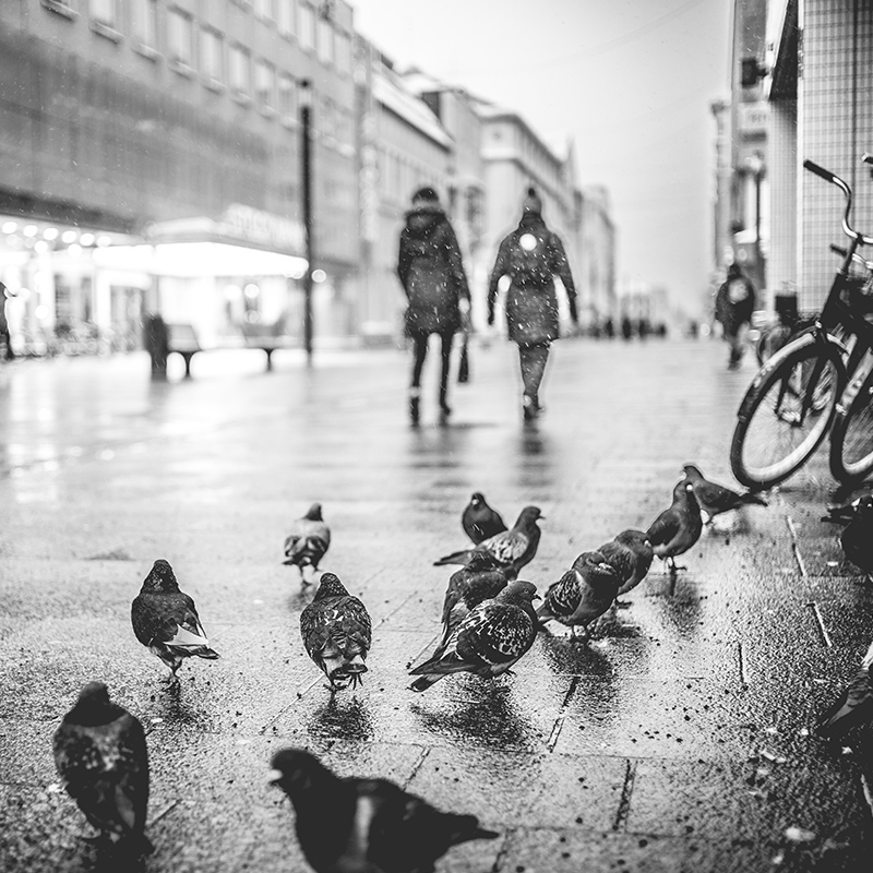 7.11. klo 18 rikollinen kävely (k18)